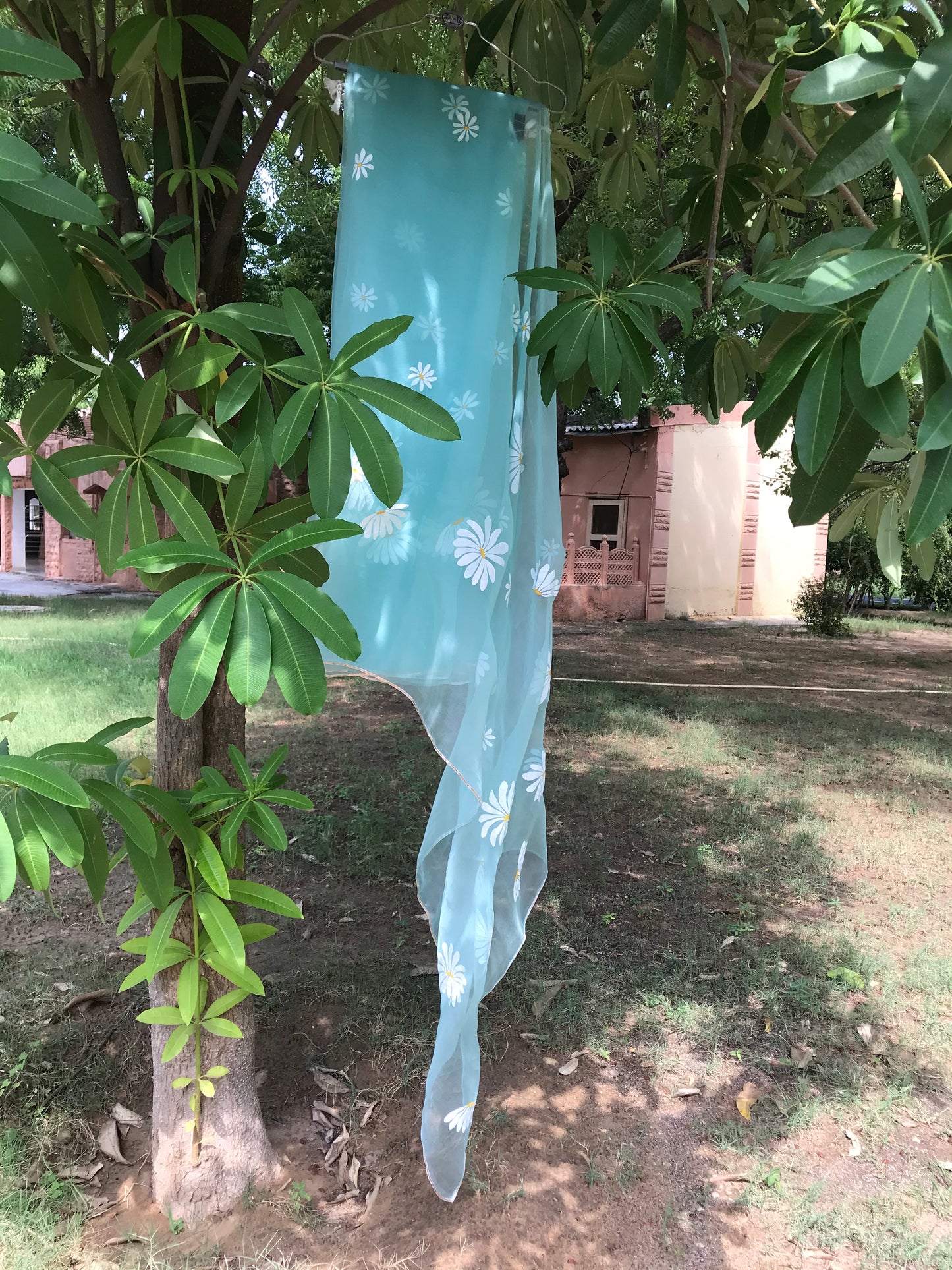 Daisy Organza Saree