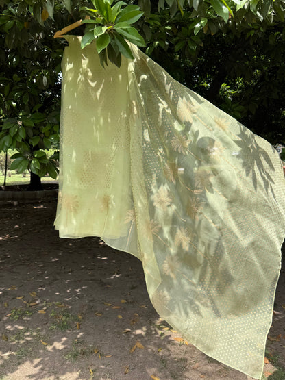 Palm Tree Organza Saree