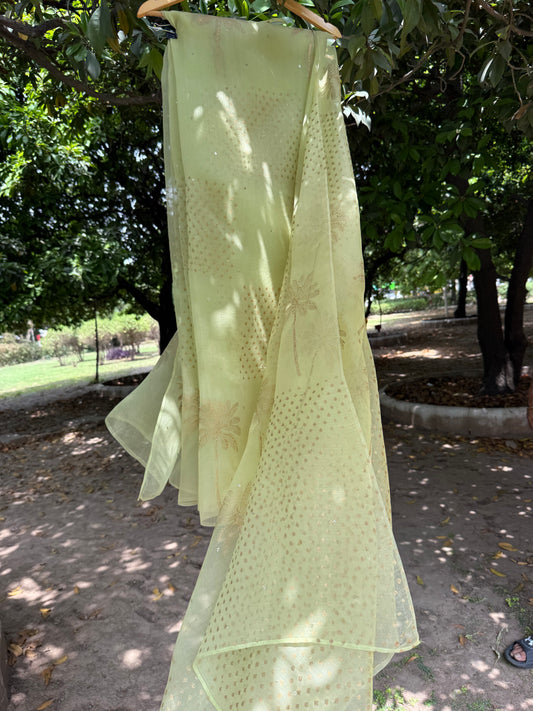 Tree Organza Saree