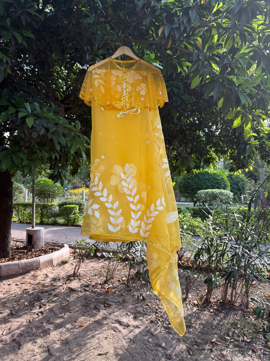 Multi Floral Organza Saree