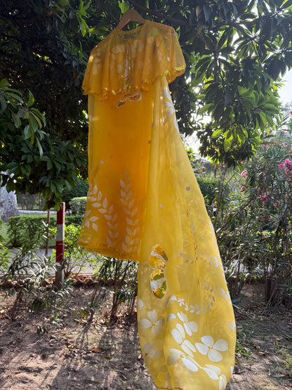 Multi Floral Organza Saree
