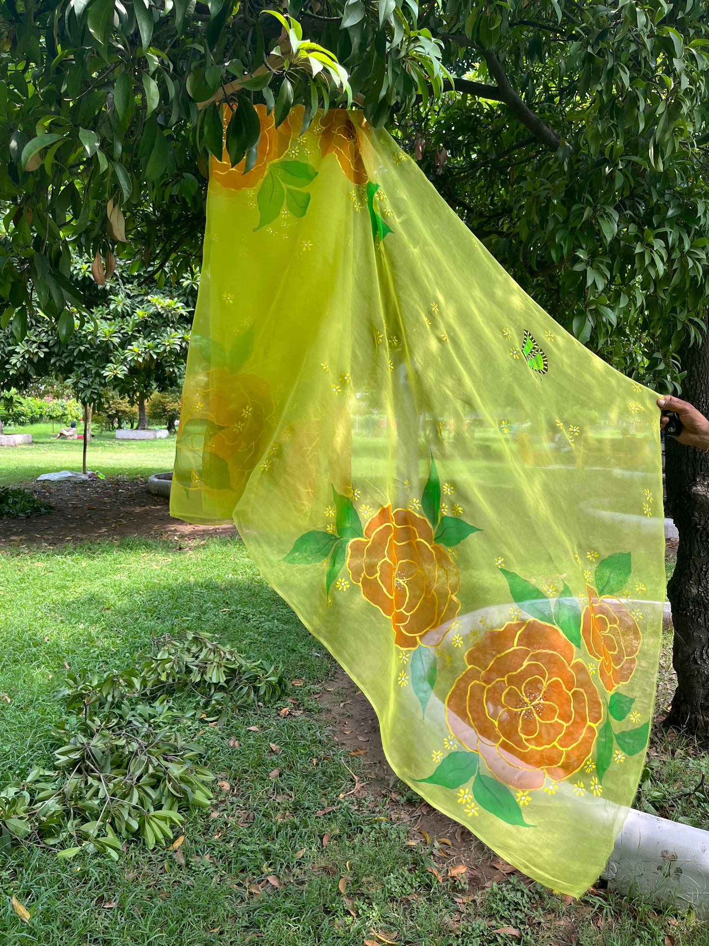Camellia Organza Saree