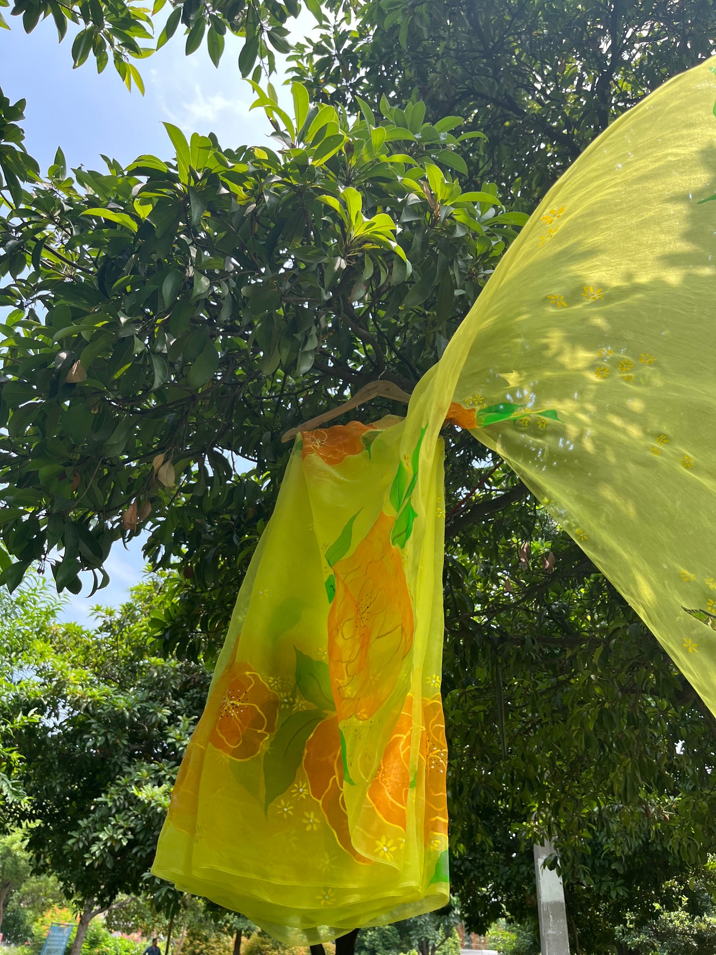 Camellia Organza Saree