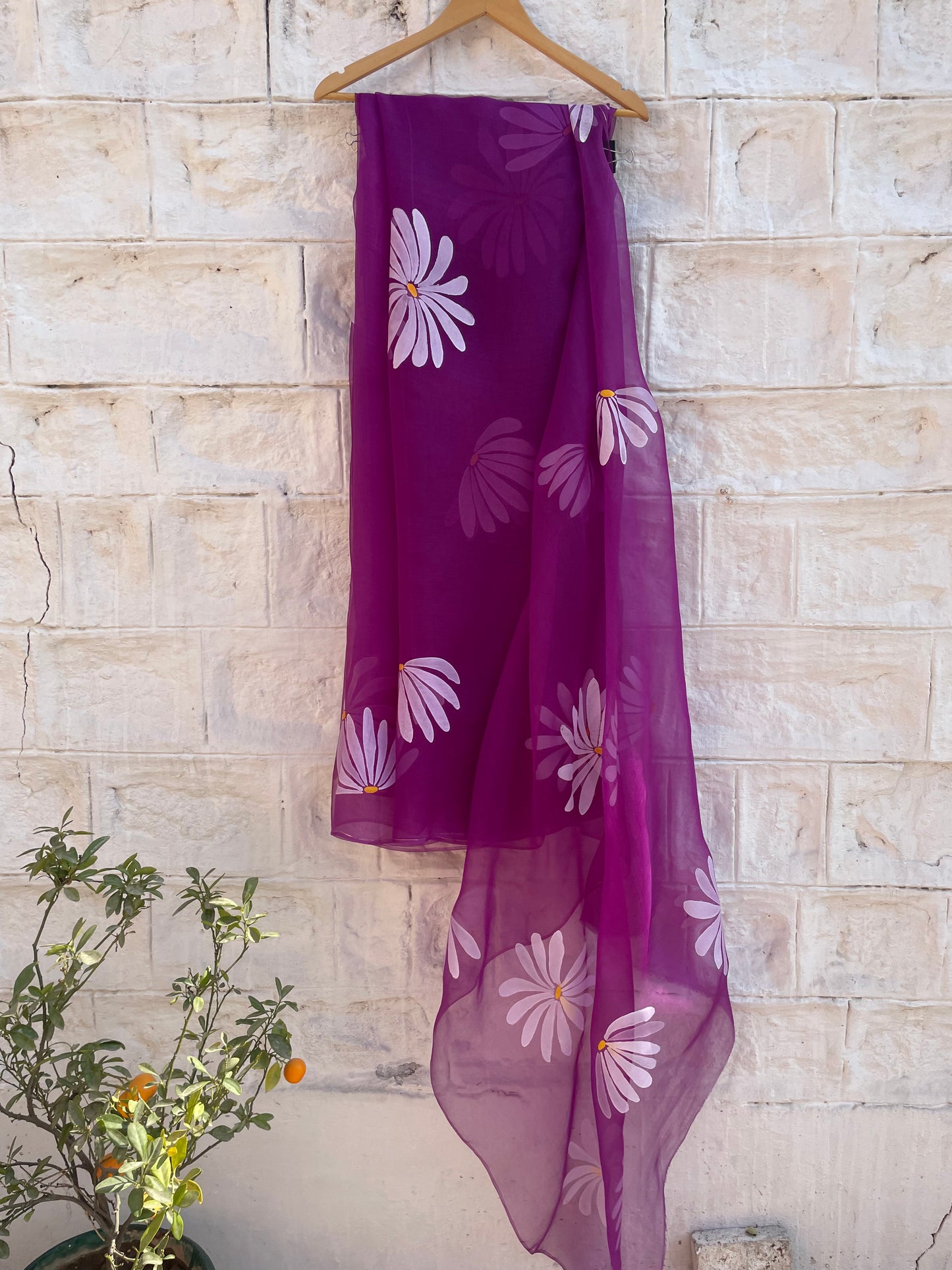 Daisy Organza Saree