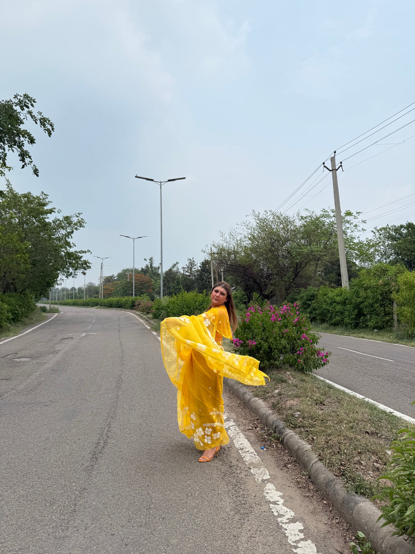 Multi Floral Organza Saree