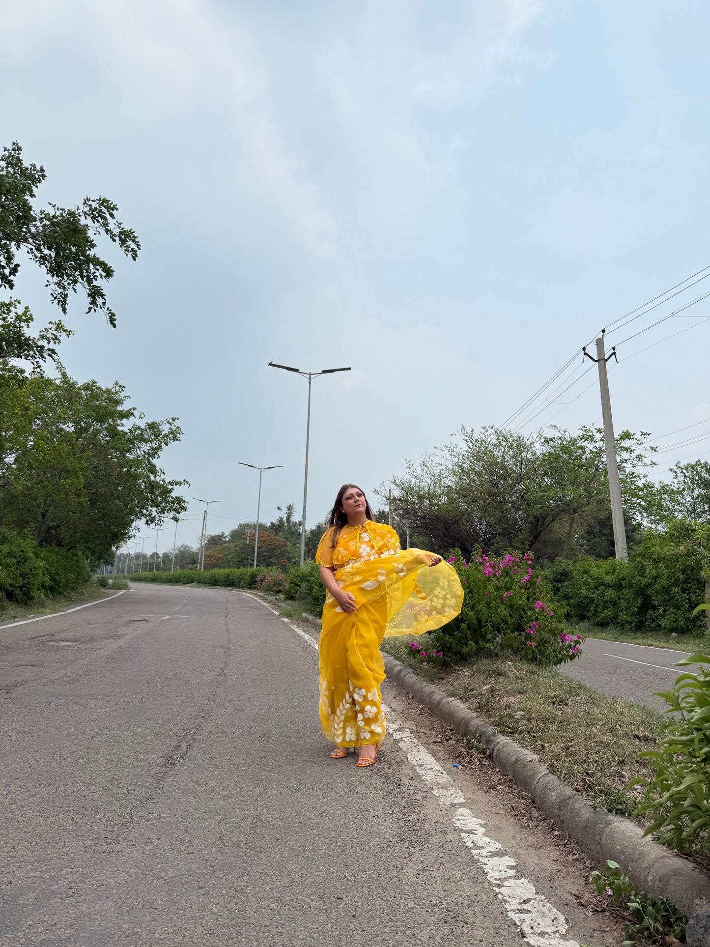 Multi Floral Organza Saree