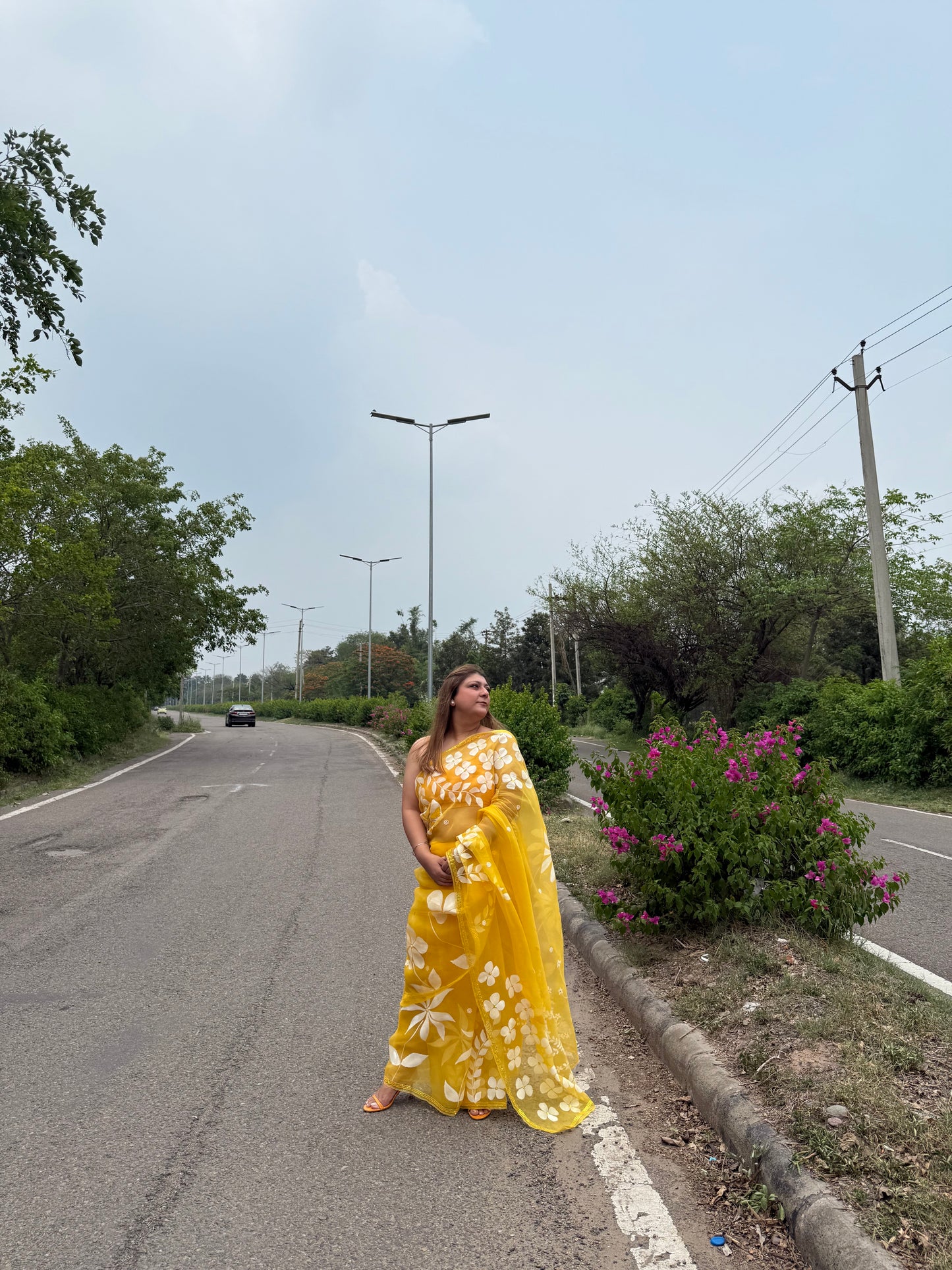 Multi Floral Organza Saree