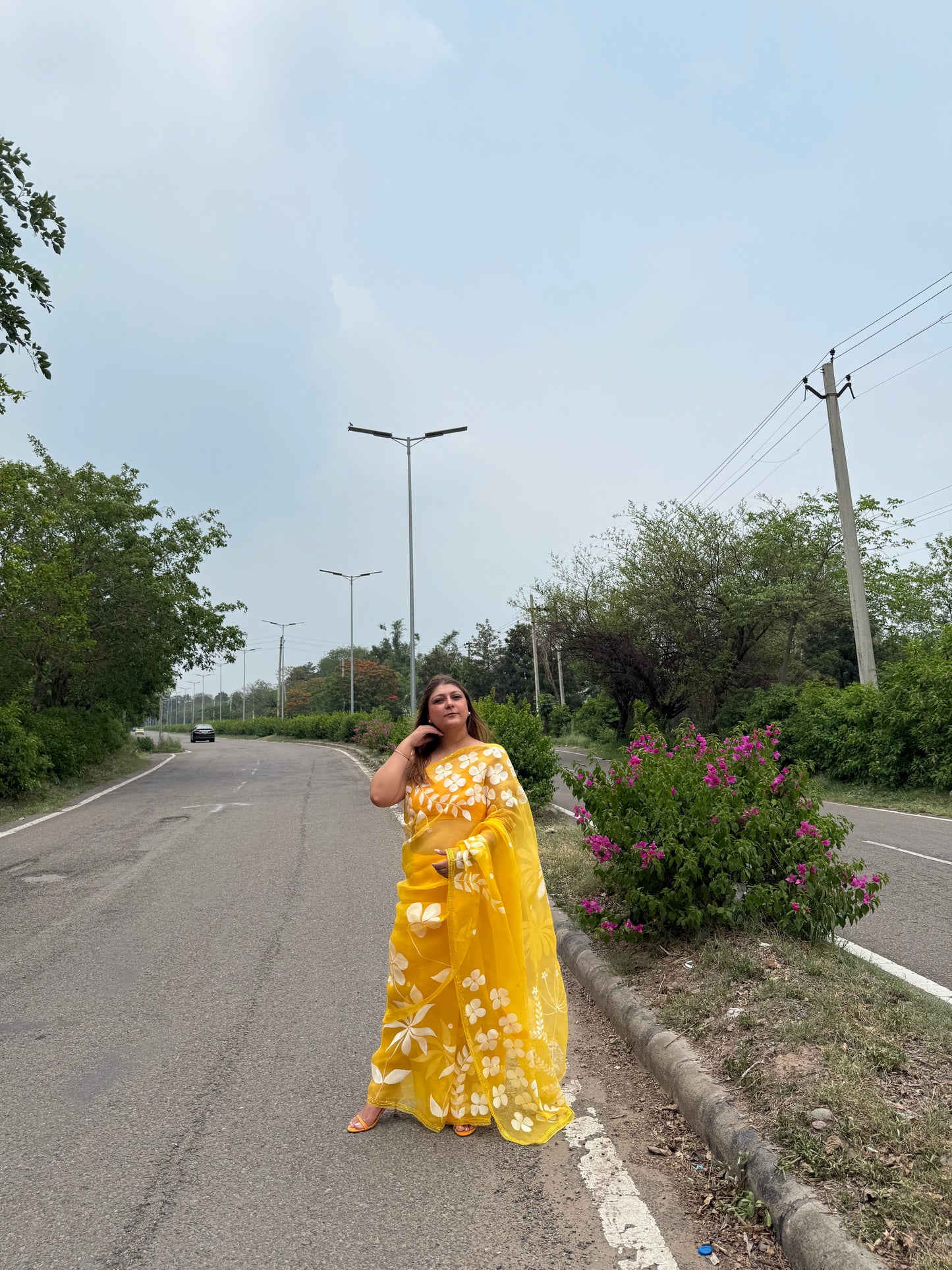 Multi Floral Organza Saree