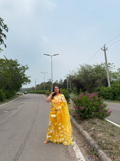 Multi Floral Organza Saree