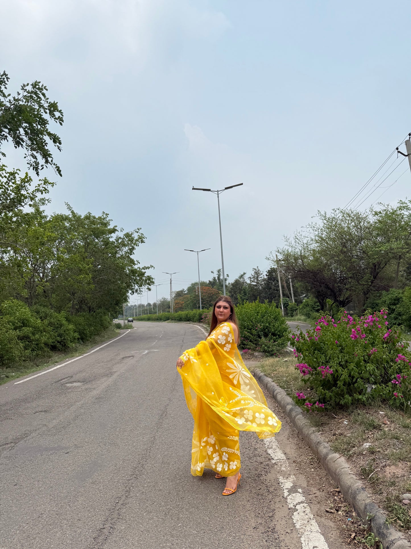 Multi Floral Organza Saree