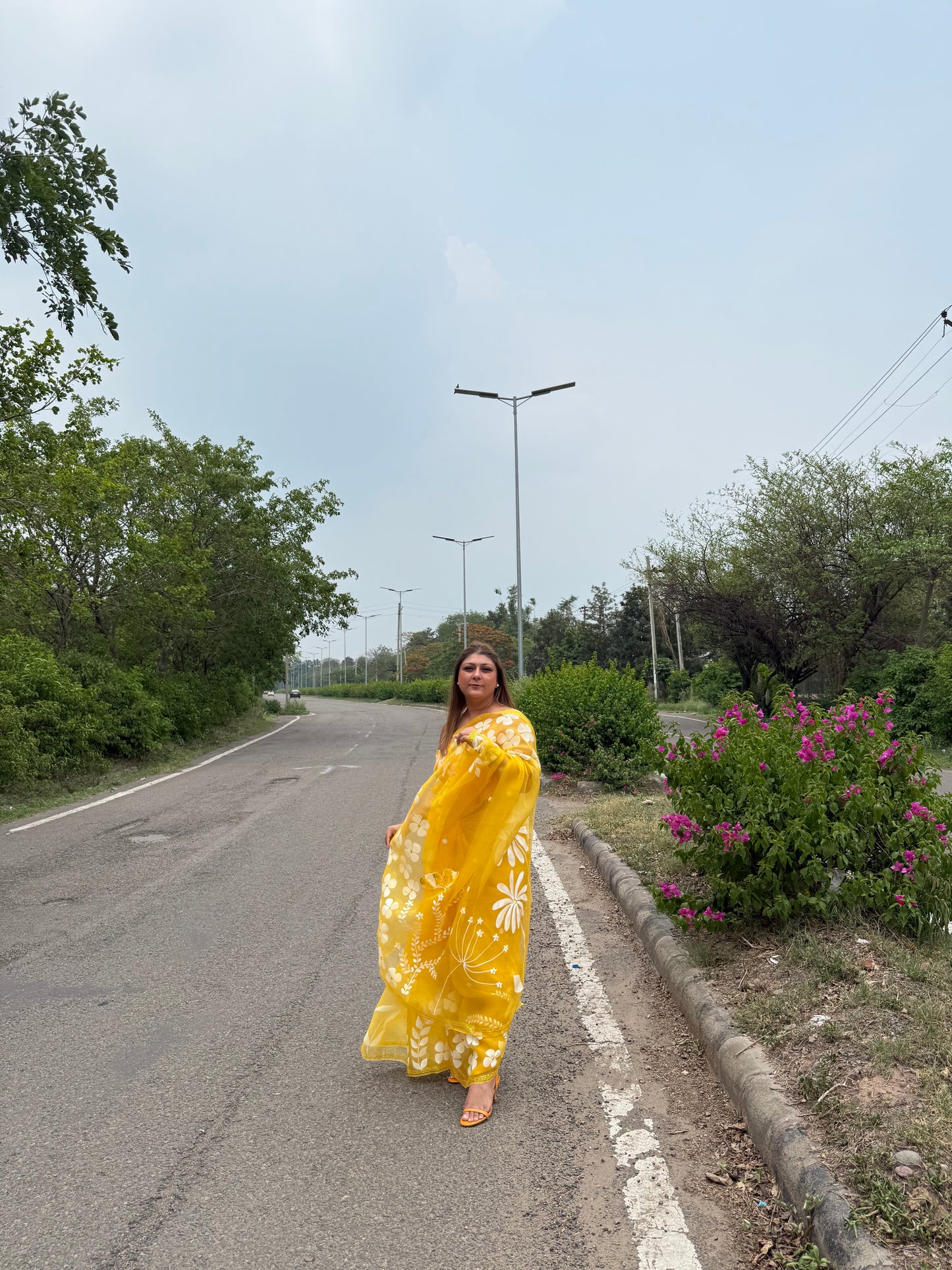 Multi Floral Organza Saree