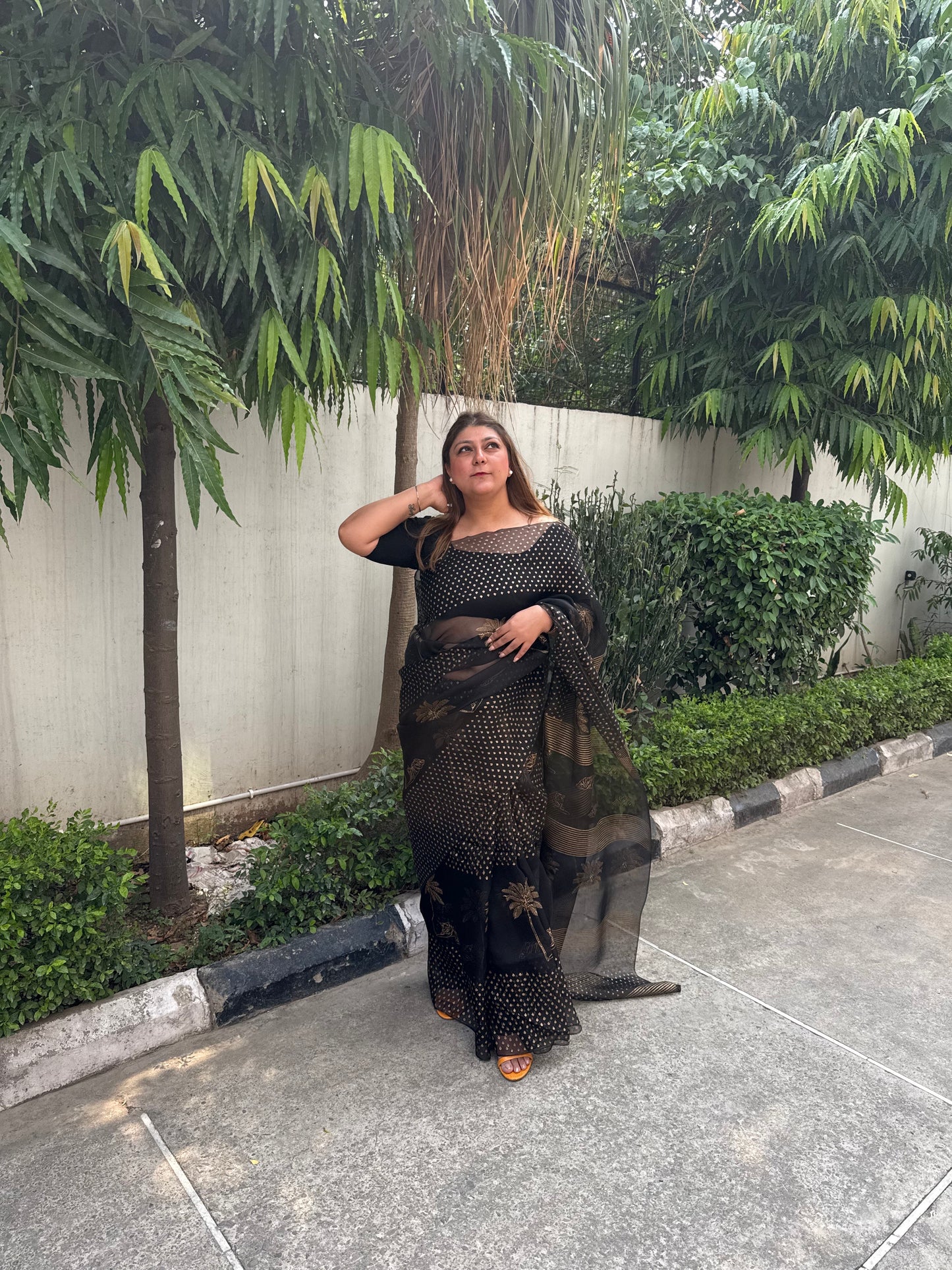 Tiger & Tree Organza Saree