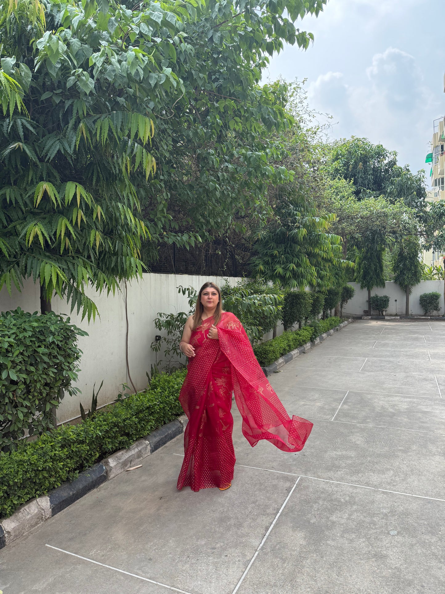 Elephant & Tree Organza Saree