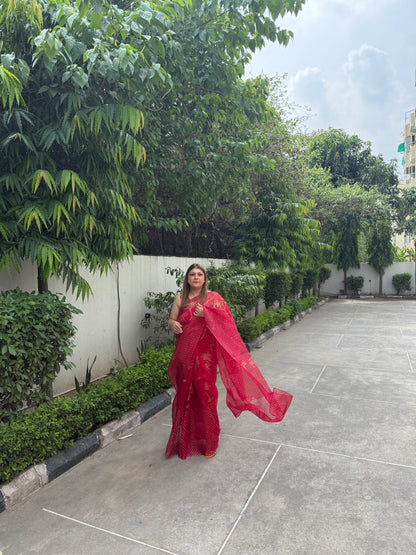 Elephant & Tree Organza Saree