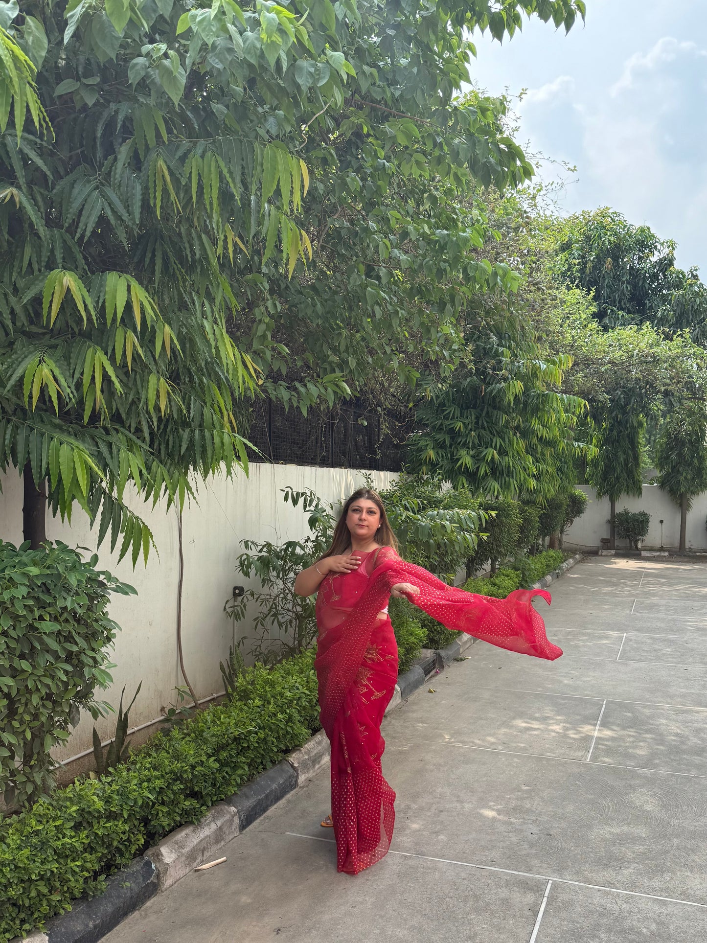 Elephant & Tree Organza Saree