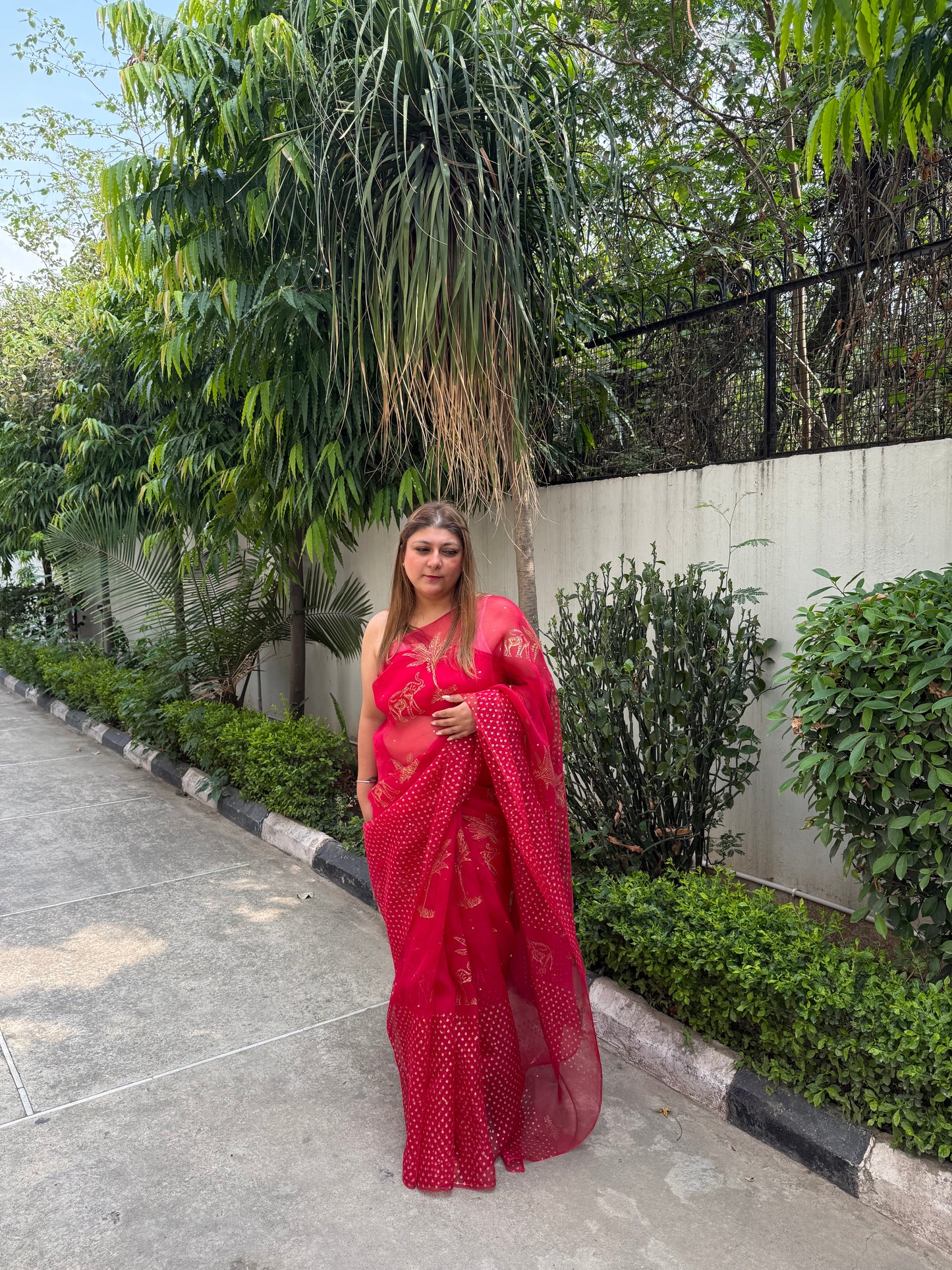 Elephant & Tree Organza Saree