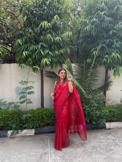 Elephant & Tree Organza Saree
