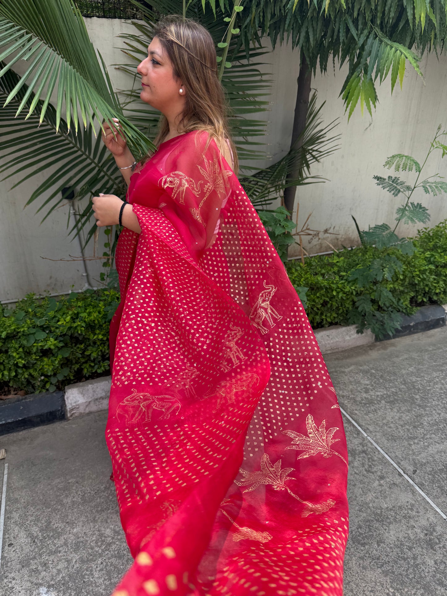 Elephant & Tree Organza Saree