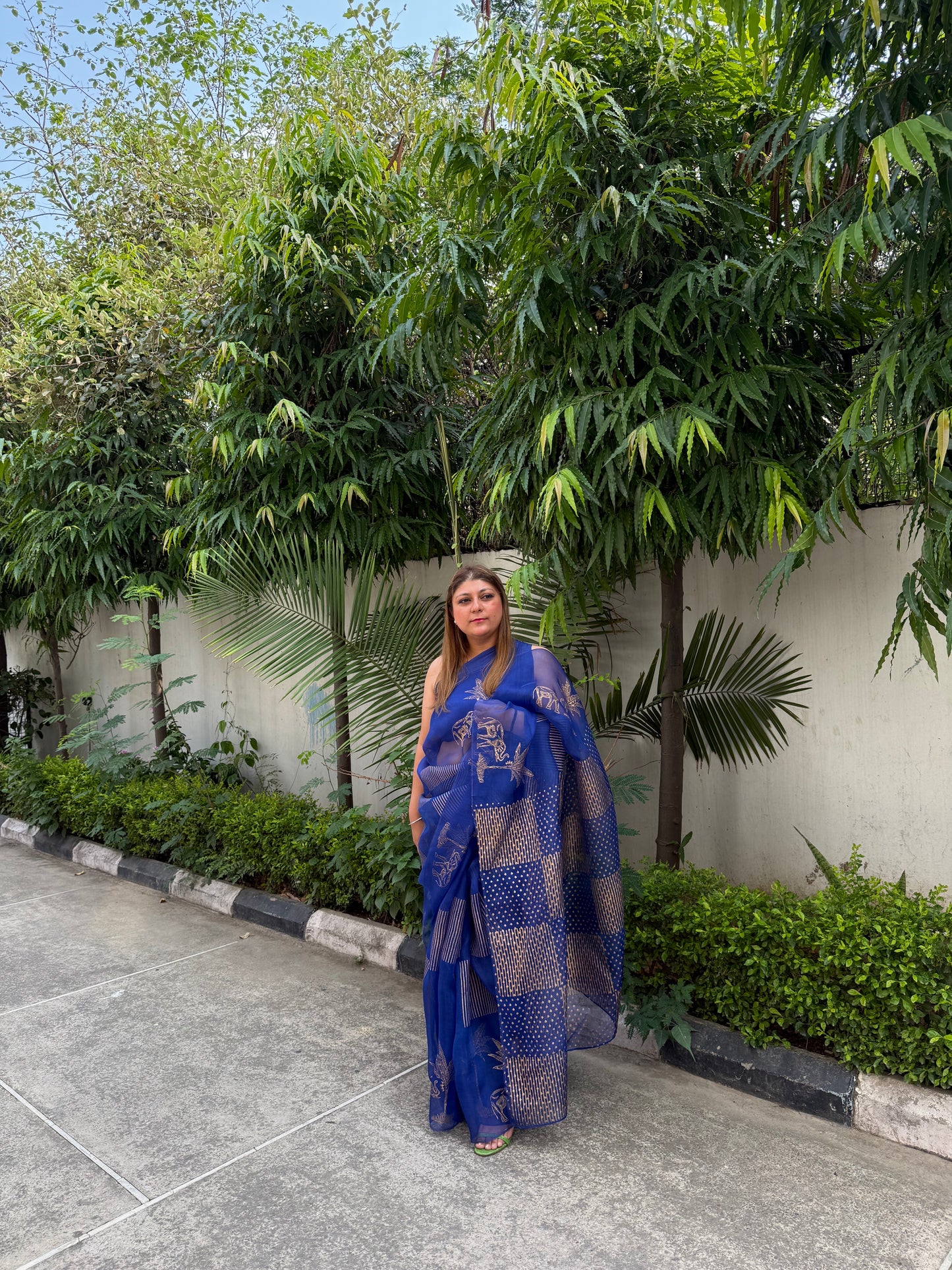 Elephant & Tree Organza Saree