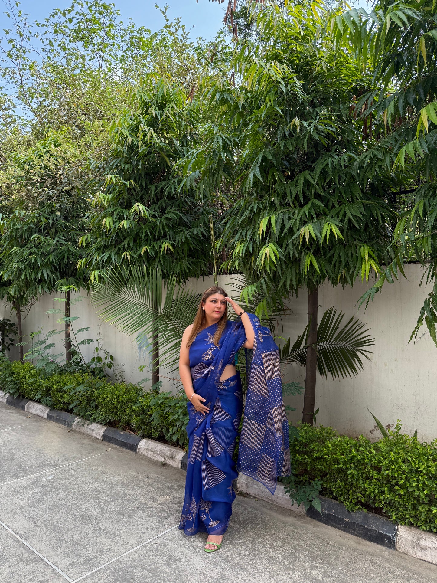 Elephant & Tree Organza Saree