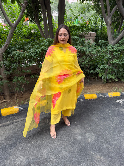 Lotus Chiffon Suit