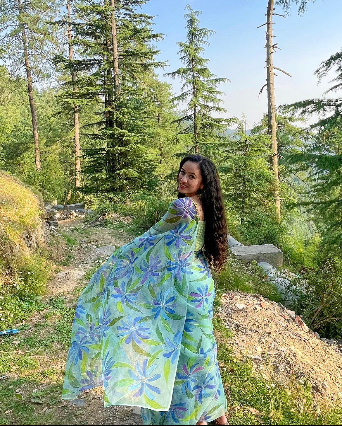 Blue Plumbago Organza Saree