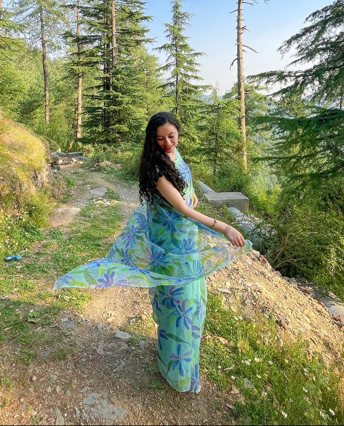 Blue Plumbago Organza Saree