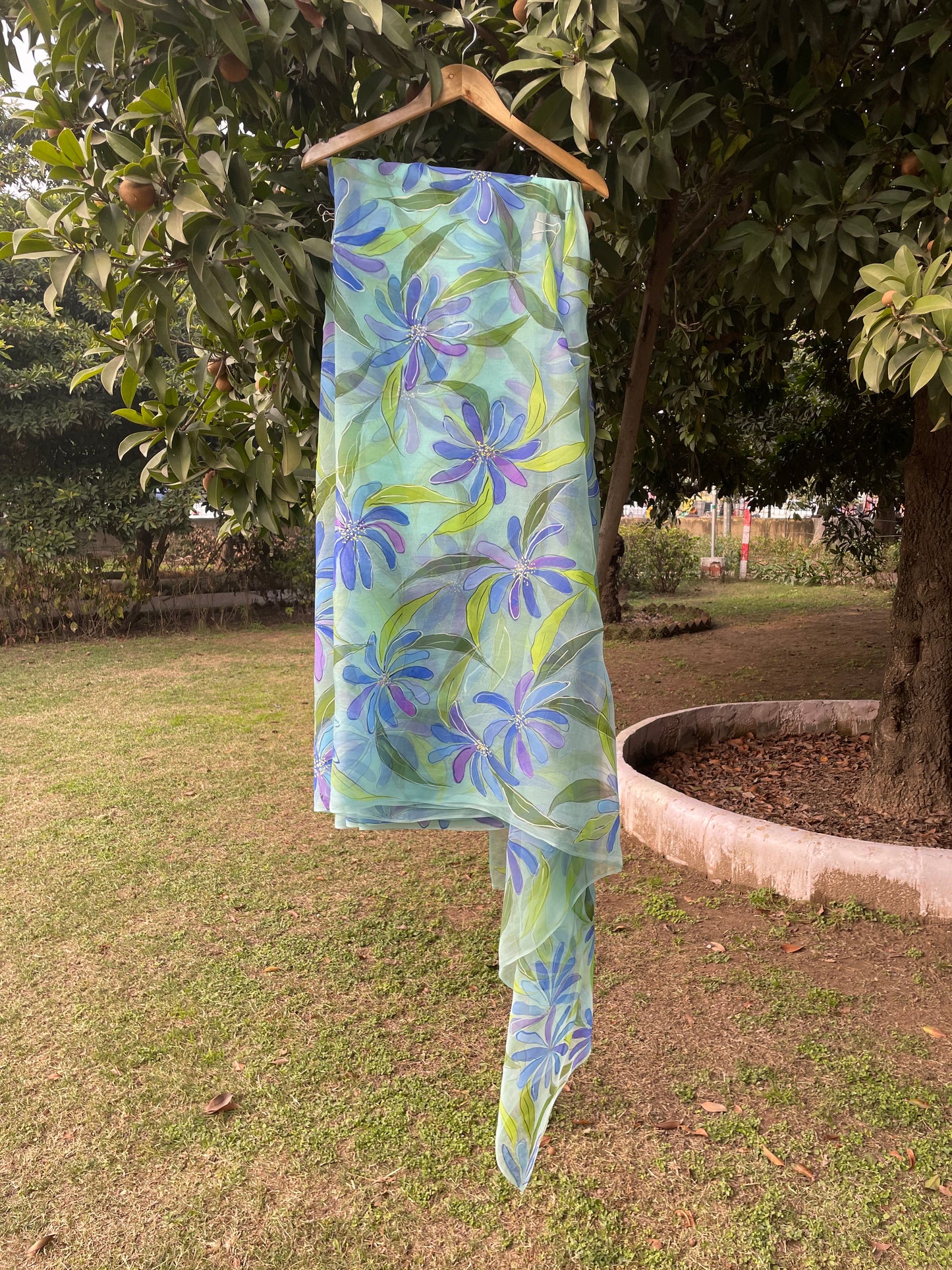Blue Plumbago Organza Saree