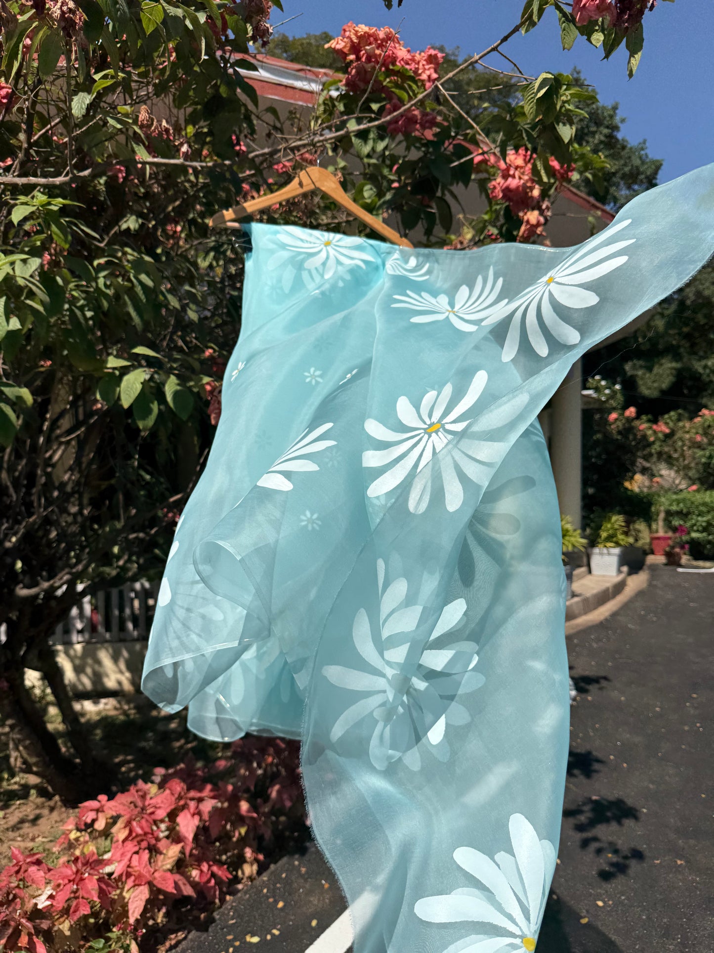 Daisy Organza Saree