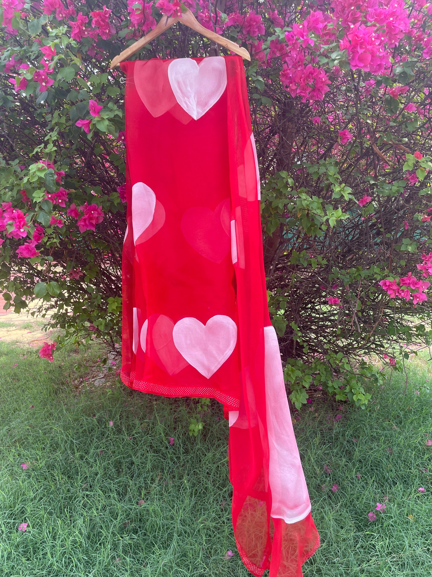 Heart Organza Saree