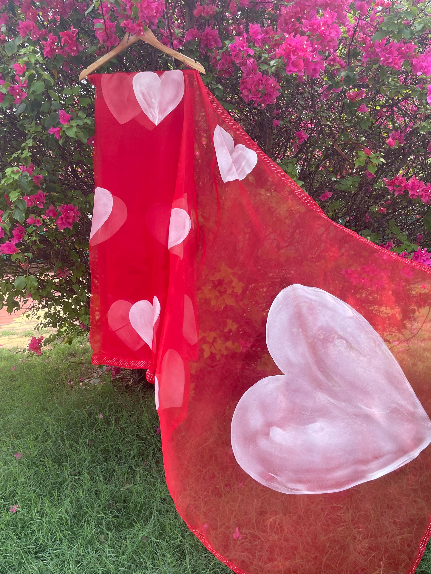 Heart Organza Saree