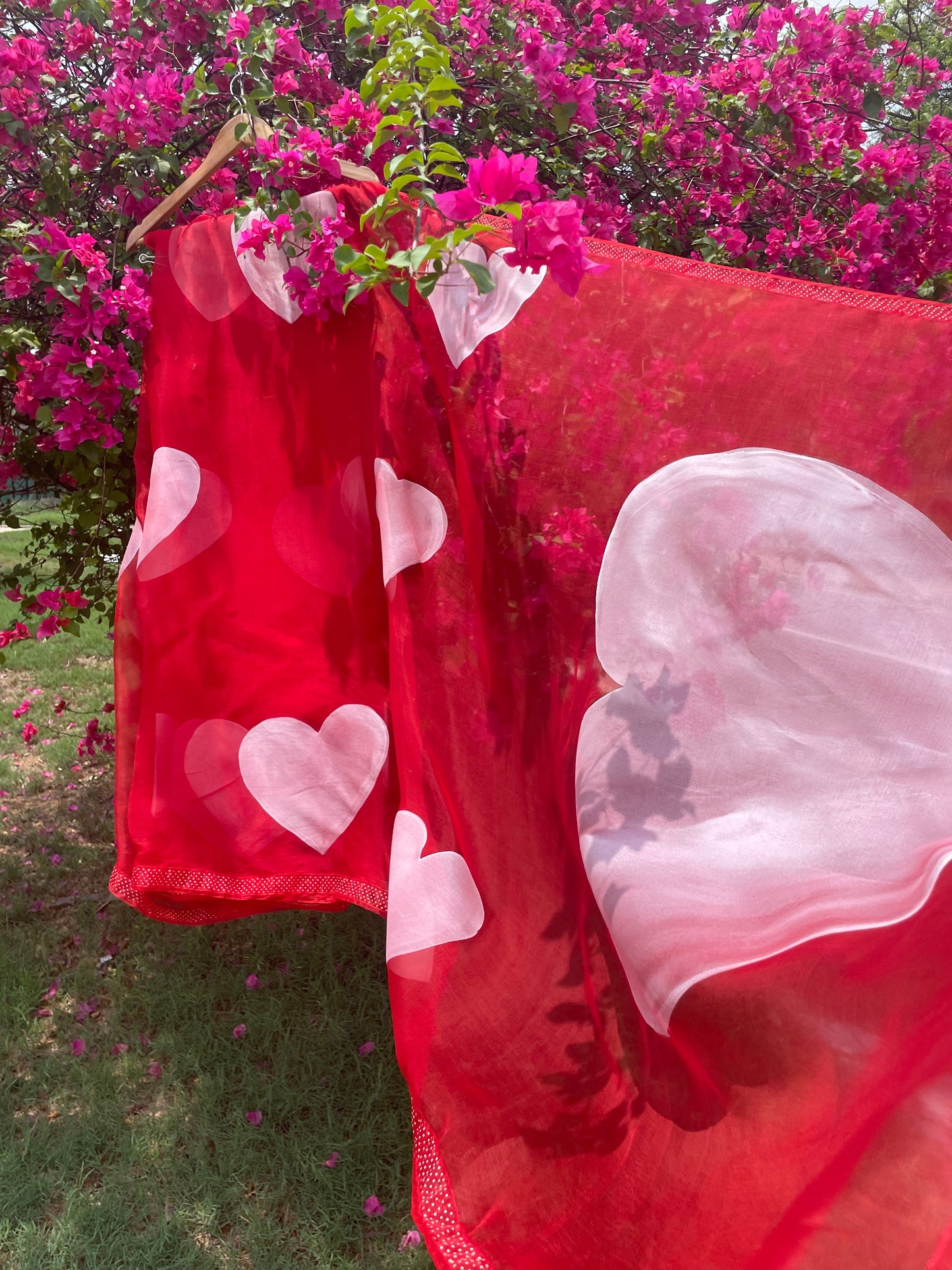 Heart Organza Saree