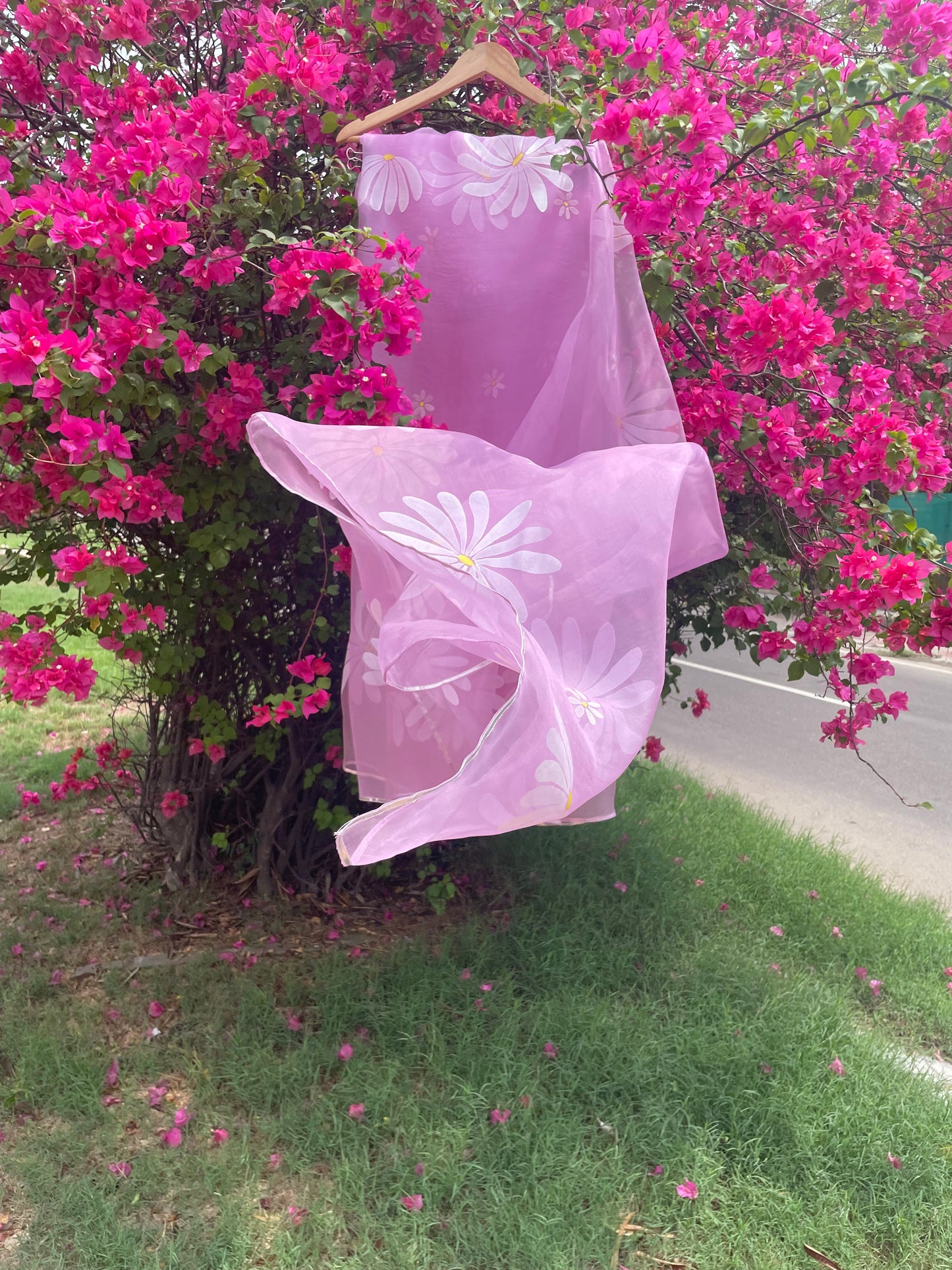 Daisy Organza Saree