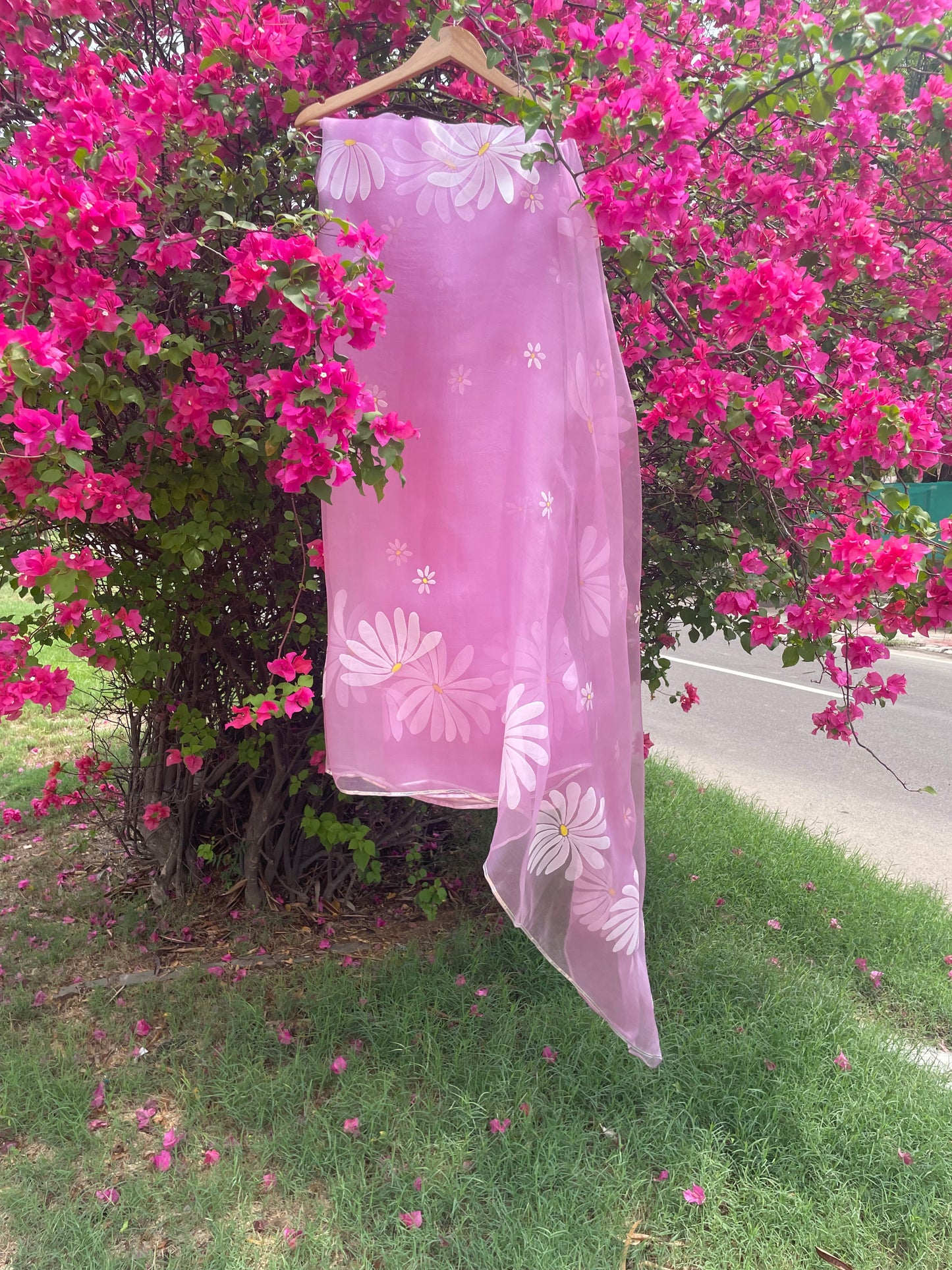 Daisy Organza Saree