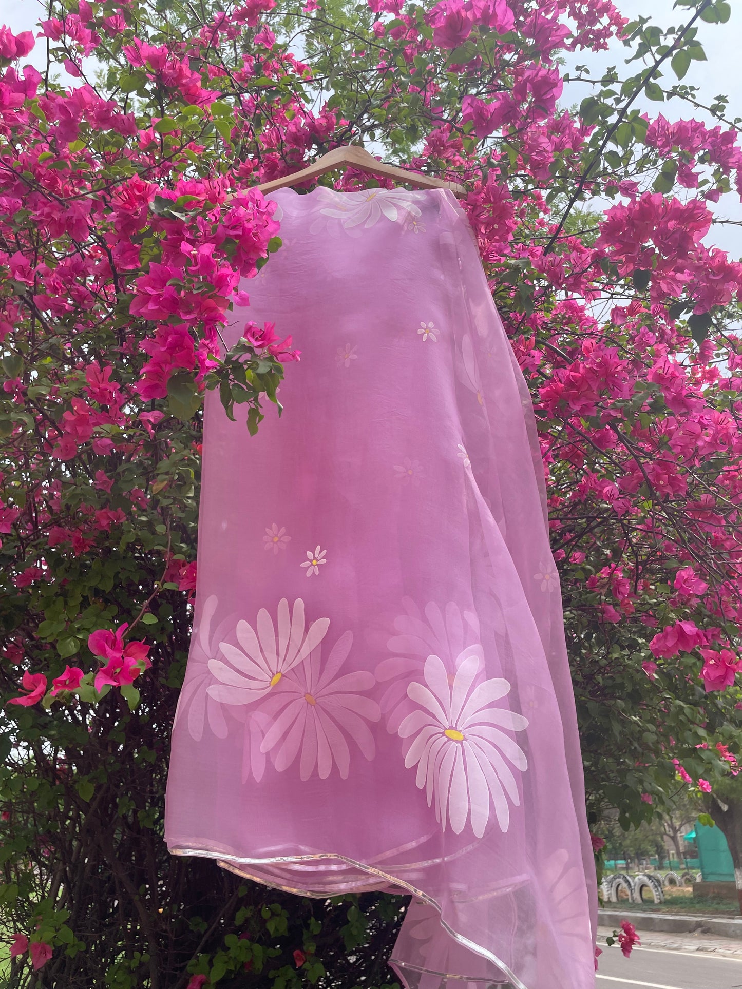 Daisy Organza Saree
