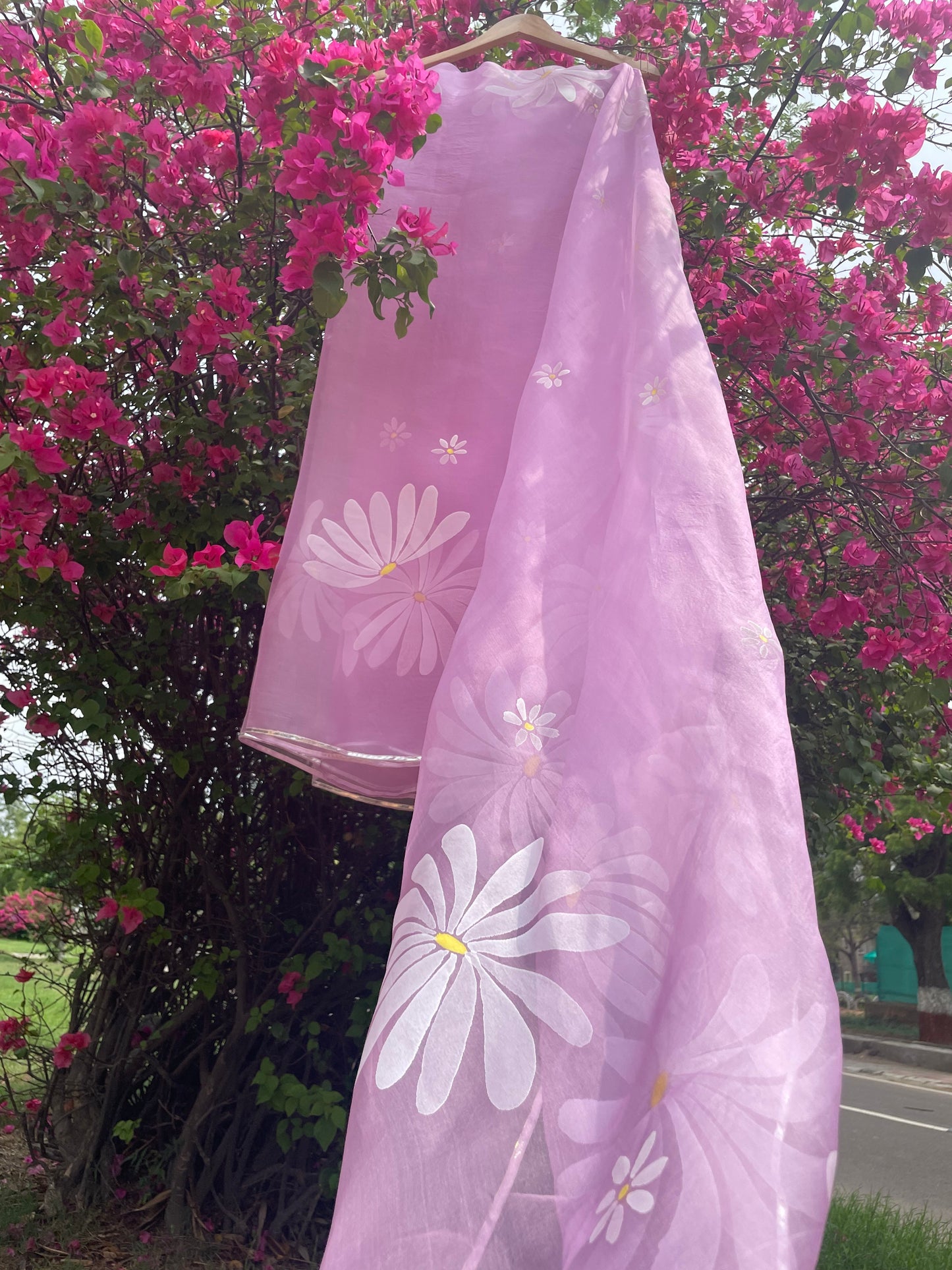Daisy Organza Saree