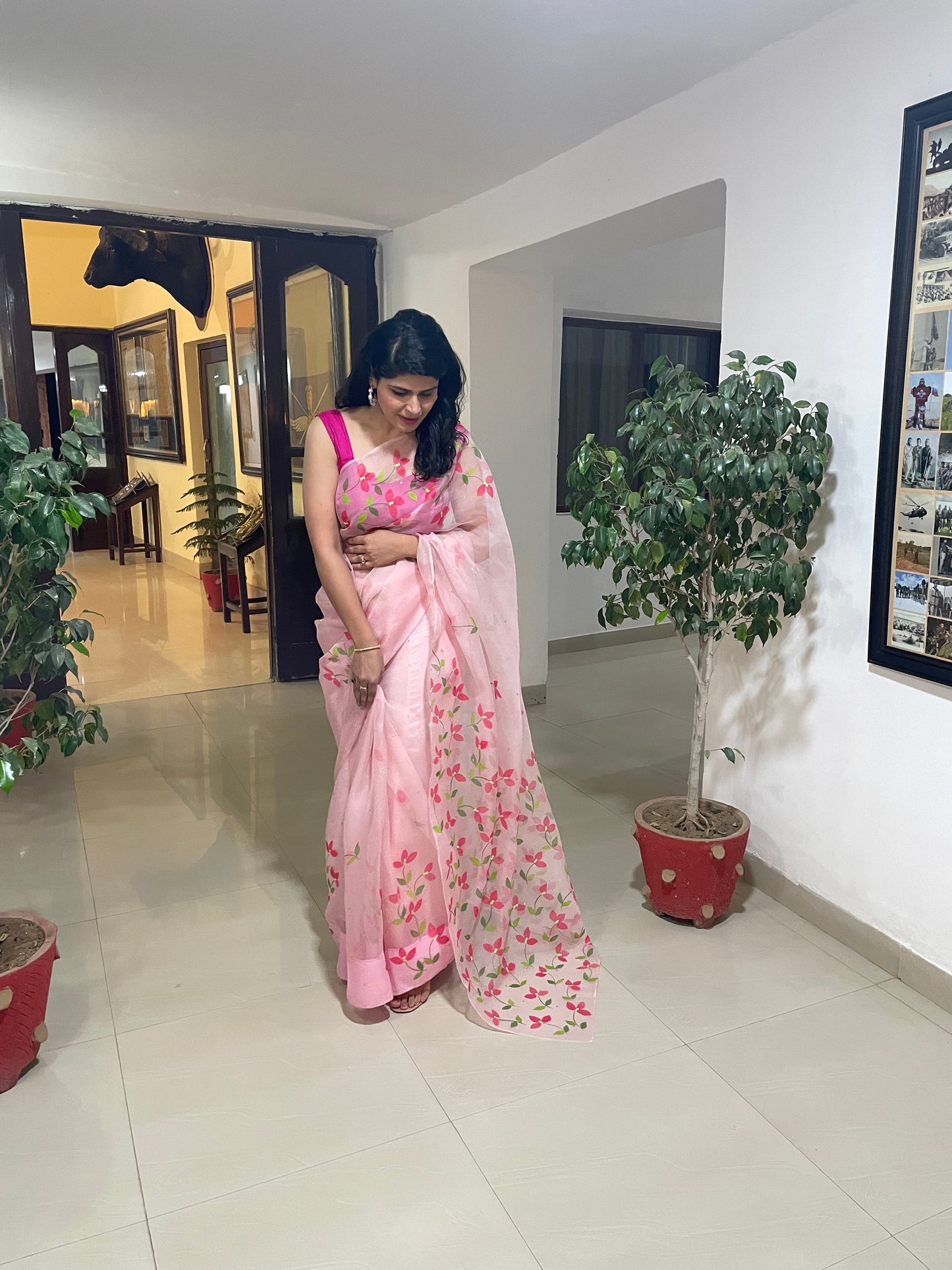 Bougainvillea Organza Saree