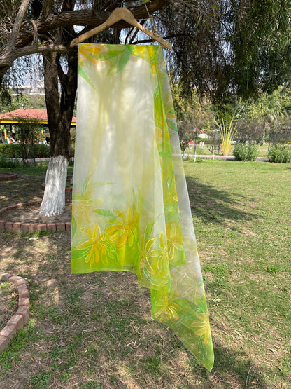 Spring Wildflower Organza Saree