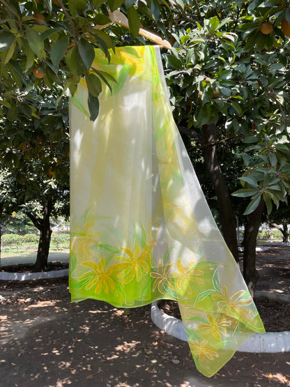 Spring Wildflower Organza Saree