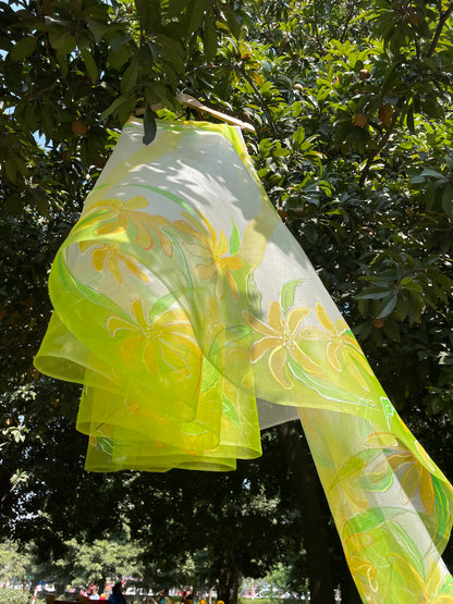Spring Wildflower Organza Saree
