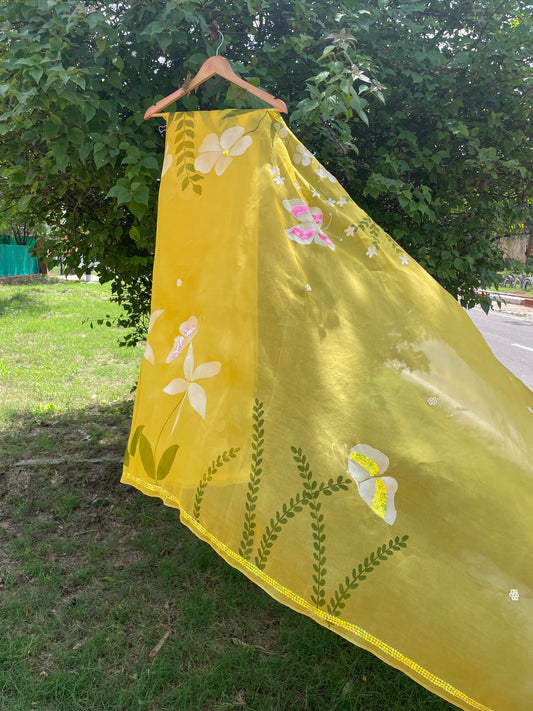 Multi floral Organza Saree