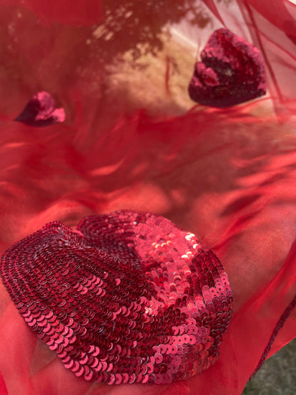 Small Sequins Heart Organza Saree