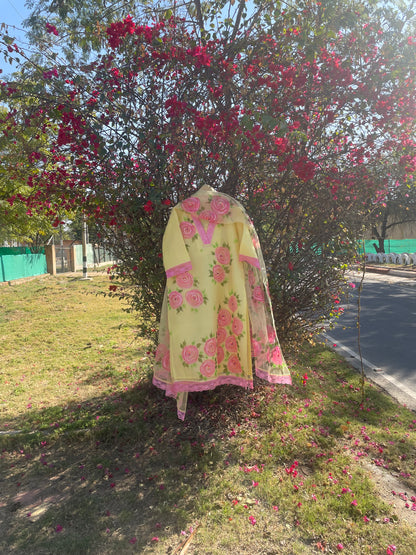 Roses Organza Suit