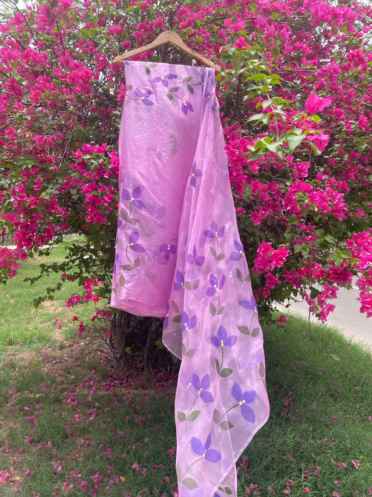 Bougainvillea Organza Saree