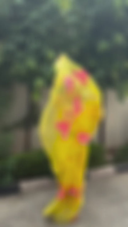 Lotus Organza Saree