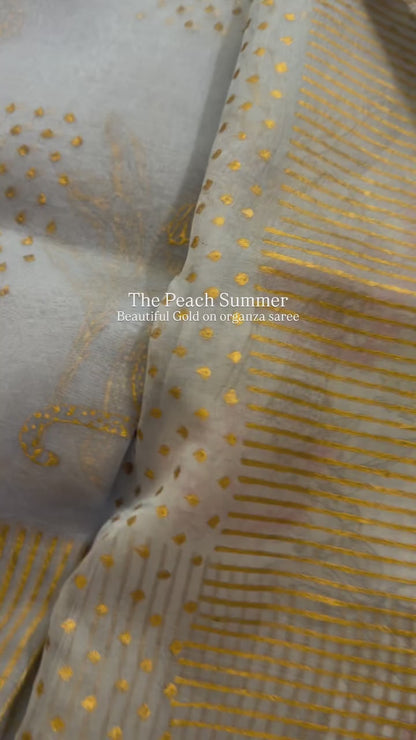 Tiger & Tree Organza Saree
